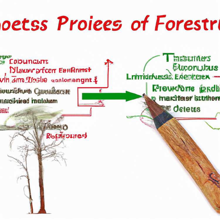 Анализ причин и последствий вырубки лесов
