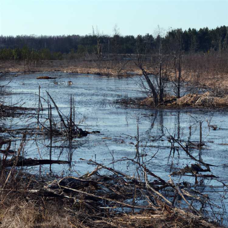 Долгосрочные последствия разрушения водно-болотных угодий
