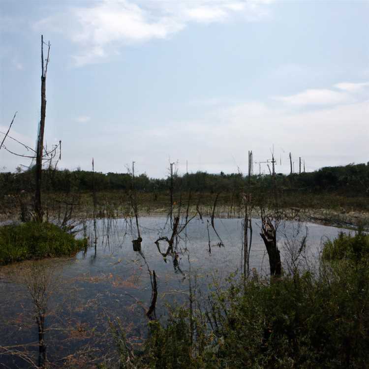 Рекомендации по сохранению водно-болотных угодий