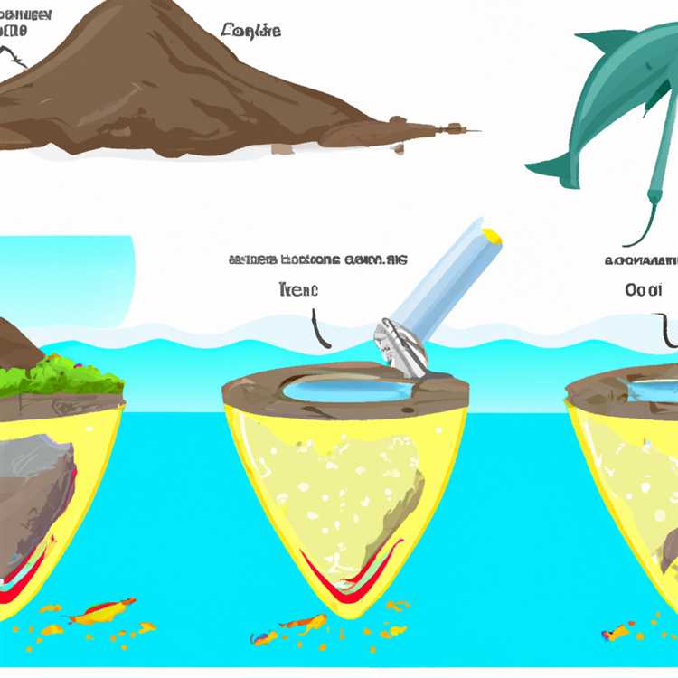 Роль методов очистки отходов в проблеме загрязнения океана