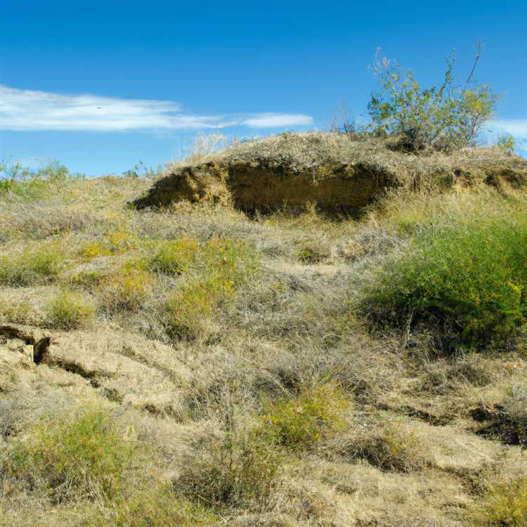 Понимание влияния эрозии почвы