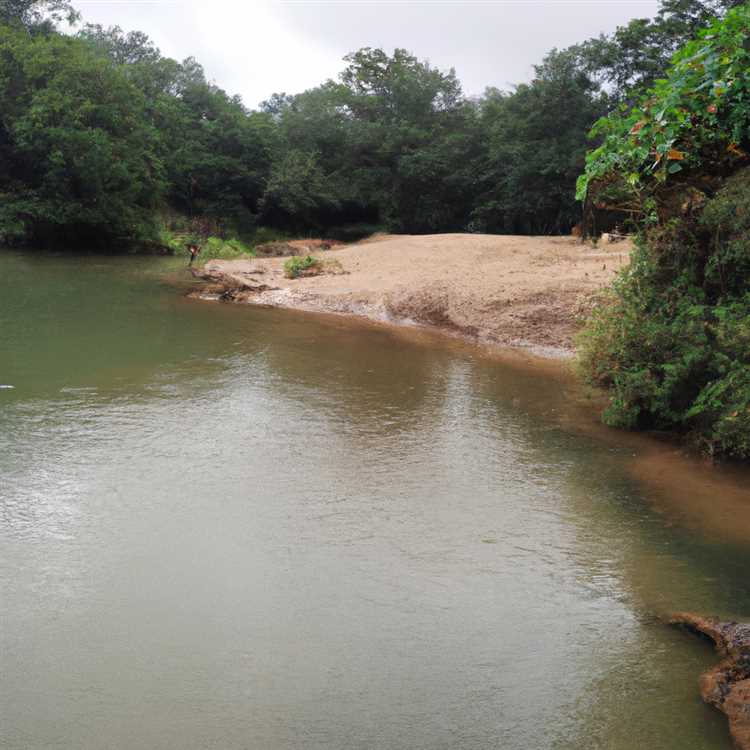 Влияние отклонения реки на водную жизнь