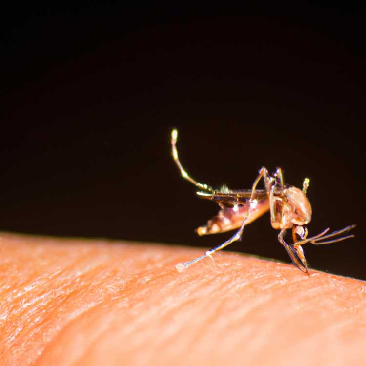 Как связана деятельность человека с болезнями, передаваемыми комарами?