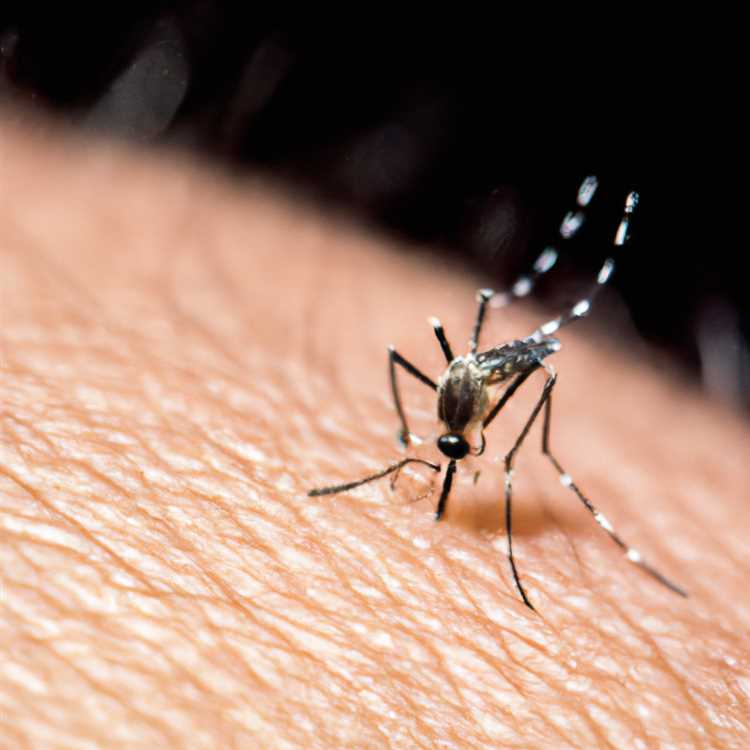 Влияние стиля жизни на риск заболевания комарами