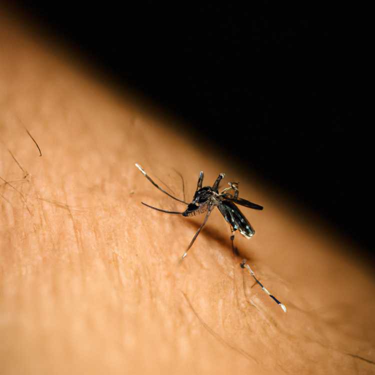 Основные факторы, повышающие вероятность заражения комаром