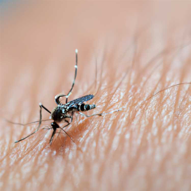 Профилактические меры для снижения риска передачи болезней комарами