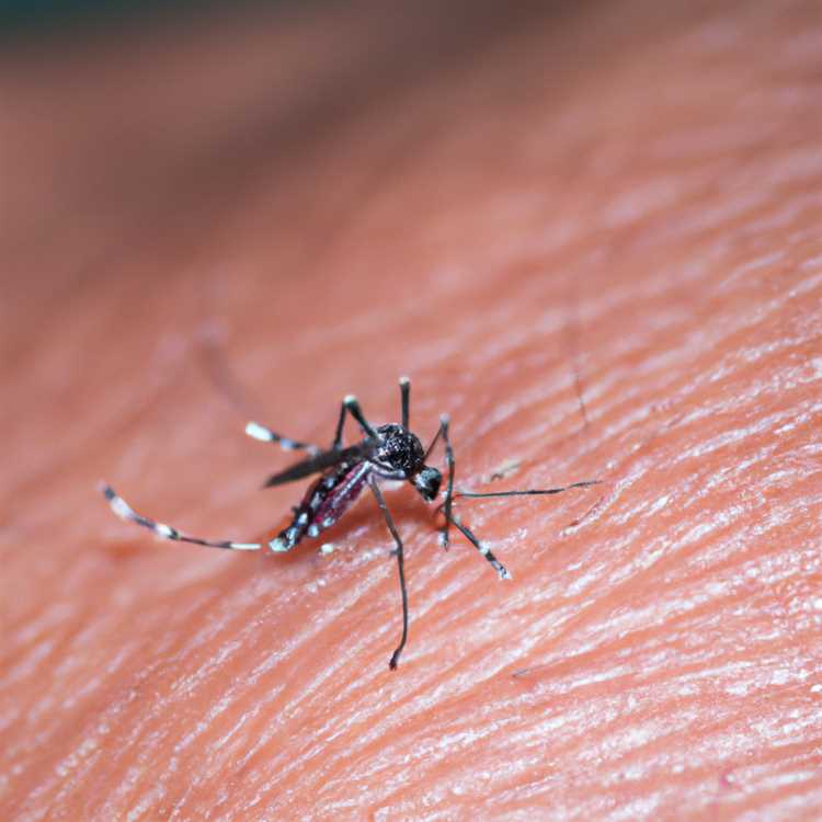 Оценка связи между деятельностью человека и болезнями, передаваемыми комарами.