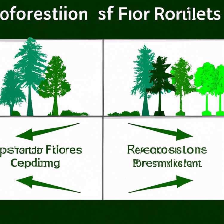 Оценка связи между населенными пунктами и лесными экосистемами