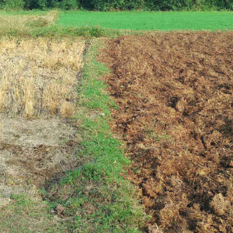 Анализ влияния уплотнения почвы на урожайность