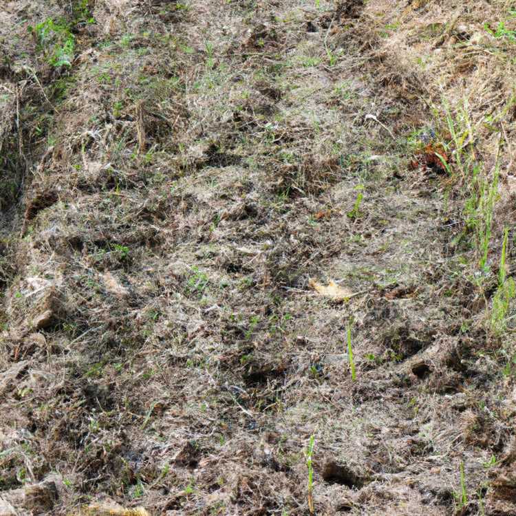 Параметры анализа влияния уплотнения почвы:
