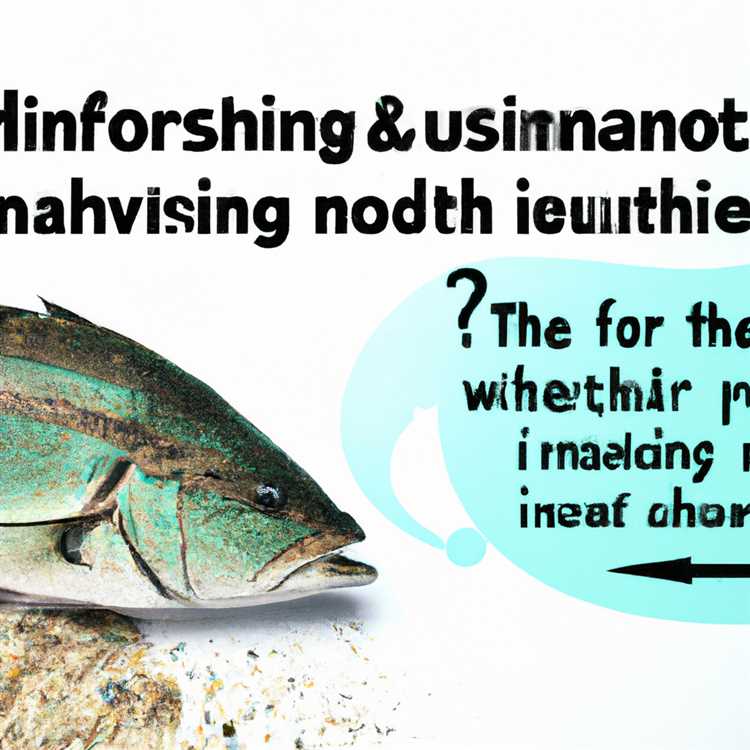 Понимание влияния неустойчивых методов рыболовства на морские экосистемы.